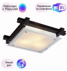 Настенно-потолочный светильник Arte Lamp Archimede с поддержкой Маруся A6462PL-3CK-М