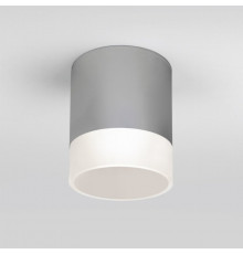 Уличный светодиодный светильник Elektrostandard Light LED 2107 IP54 35140/H серый (a057161)