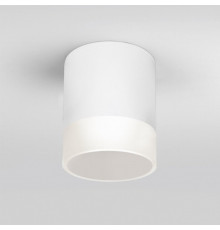 Уличный светодиодный светильник Elektrostandard Light LED 2107 IP54 35140/H белый (a057160)