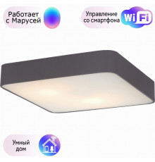 Настенно-потолочный светильник  Arte Lamp с поддержкой Маруся A7210PL-3BK-М