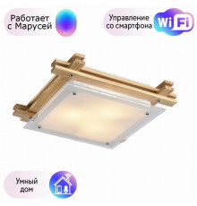 Настенно-потолочный светильник Arte Lamp ARCHIMEDE с поддержкой Маруся A6460PL-3BR-М