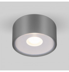 Уличный светодиодный светильник Elektrostandard Light LED 2135 IP65 35141/H серый (a057472)