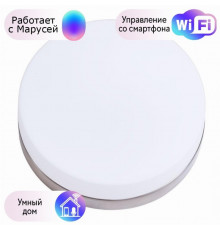 Настенно-потолочный светильник Arte Lamp Aqua-Tablet с поддержкой Маруся A6047PL-3AB-М