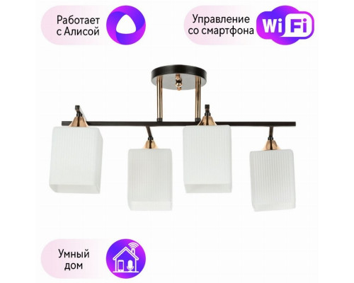 Потолочный светильник Merope Arte lamp с поддержкой Алиса A4071PL-4BK-A