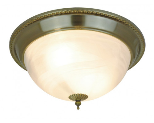 Потолочный светильник Arte Lamp 16 A1305PL-2AB