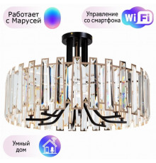 Потолочный светильник Arte Lamp Amber с поддержкой Маруся A1028PL-8BK-М