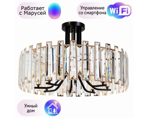 Потолочный светильник Arte Lamp Amber с поддержкой Маруся A1028PL-8BK-М