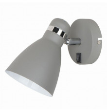 Спот Arte Lamp Mercoled A5049AP-1GY