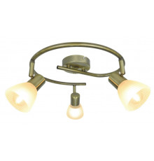 Спот Arte Lamp Parry A5062PL-3AB