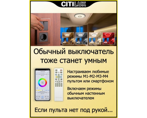 Потолочная светодиодная люстра с голосовым управлением Citilux Старлайт Смарт CL703A35G