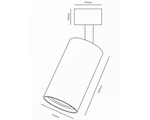 Однофазный светильник для трека Arte Lamp Ridge A1518PL-1WH