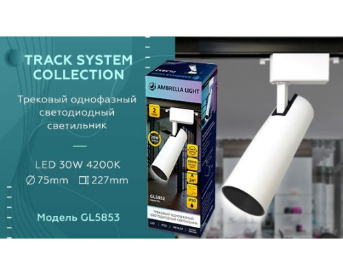 Однофазный LED светильник 30W 4200К для трека Ambrella light Track System GL5853 WH/BK