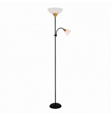 Торшер с дополнительной подсветкой Duetto Arte lamp A9569PN-2BK