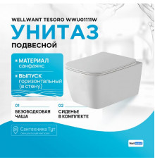 Унитаз WellWant