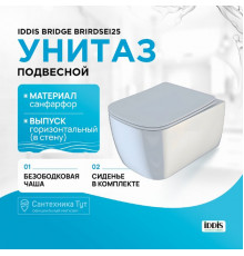 Унитаз Iddis